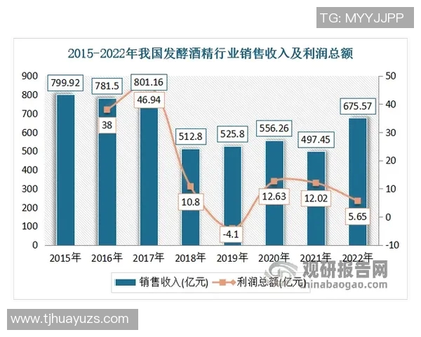 数据分析V5节奏表现探讨与优化策略研究