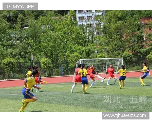 杭州足球队成长之路:一段激情与梦想交织的纪实故事