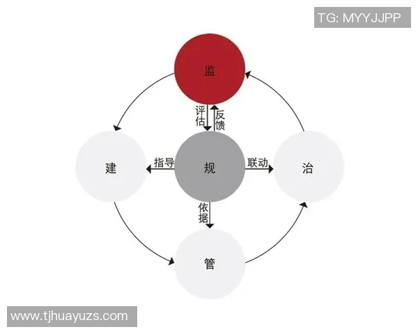 本土拓展与中央脉搏的协同发展探讨与思考