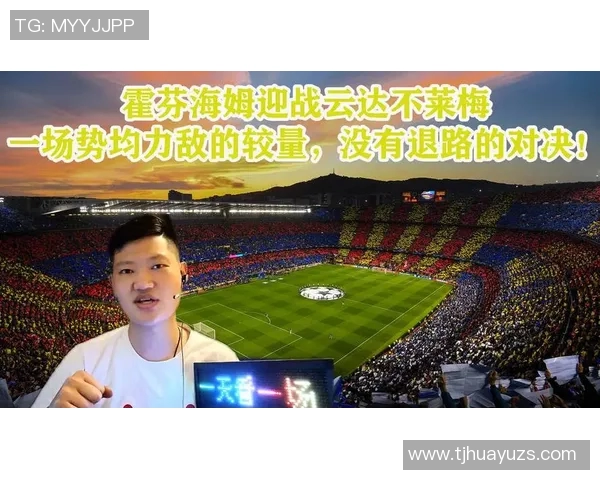 014埃门对阵芬落的精彩对决分析与赛后点评